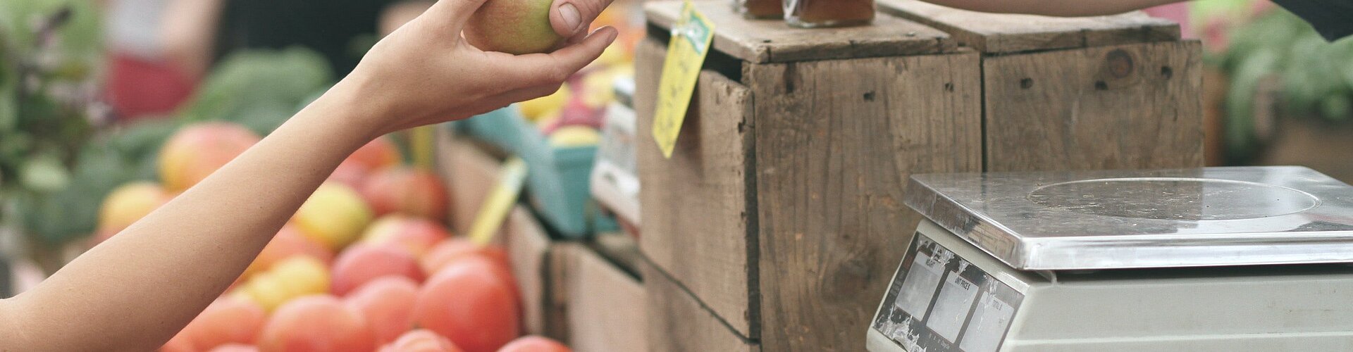 Obst und Gemüse am Bauernmarkt